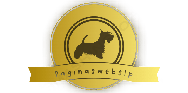 paginaswebslp